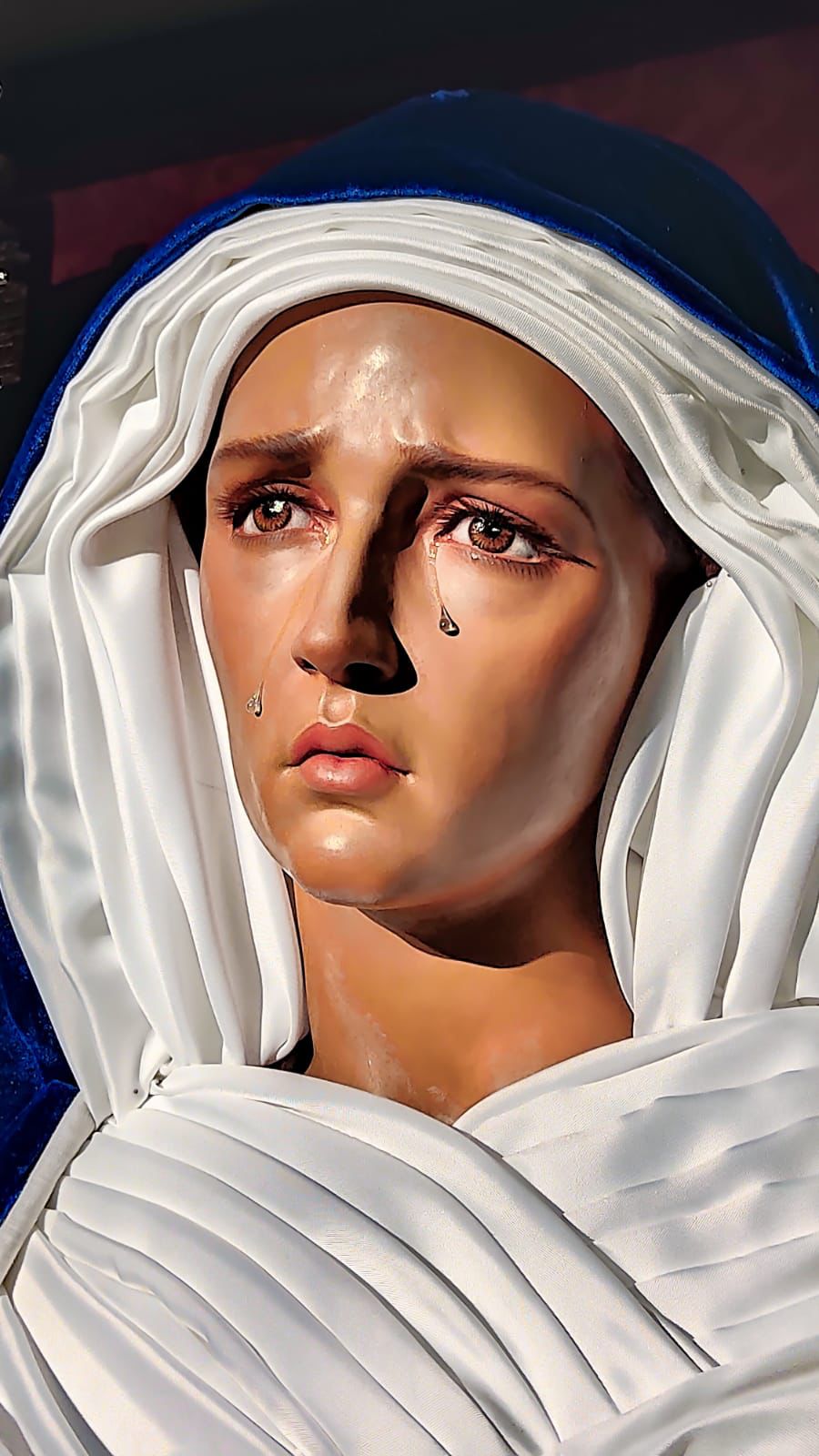 WhatsApp Image 2024-02-13 at 11.54.45 (1)